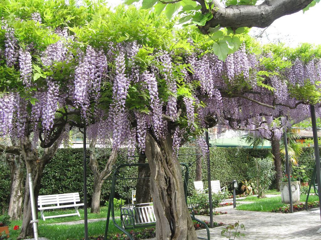 Hotel Giardino ซีร์มิโอเน ภายนอก รูปภาพ